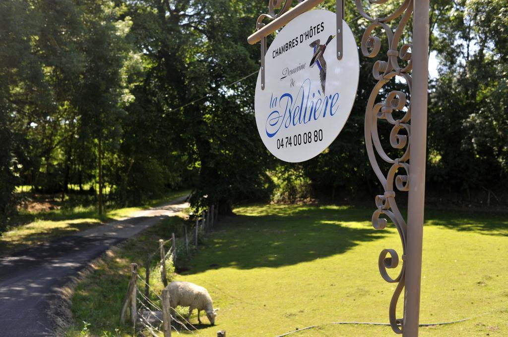 Domaine De La Belliere Hotel Villars-les-Dombes Exterior foto